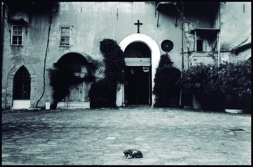 Gato en el patio central del Monasterio de Iviron. Monte Athos