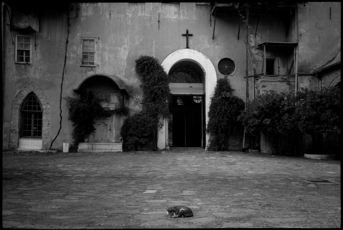 Gato en el patio central del Monasterio de Iviron