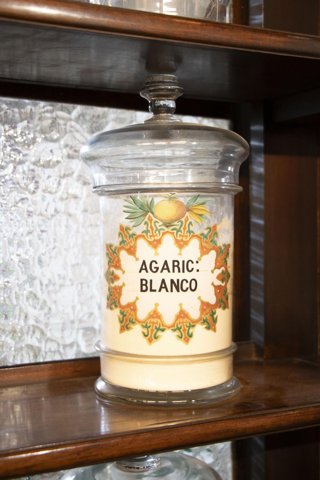 Albarelo de vidrio AGARIC:BLANCO