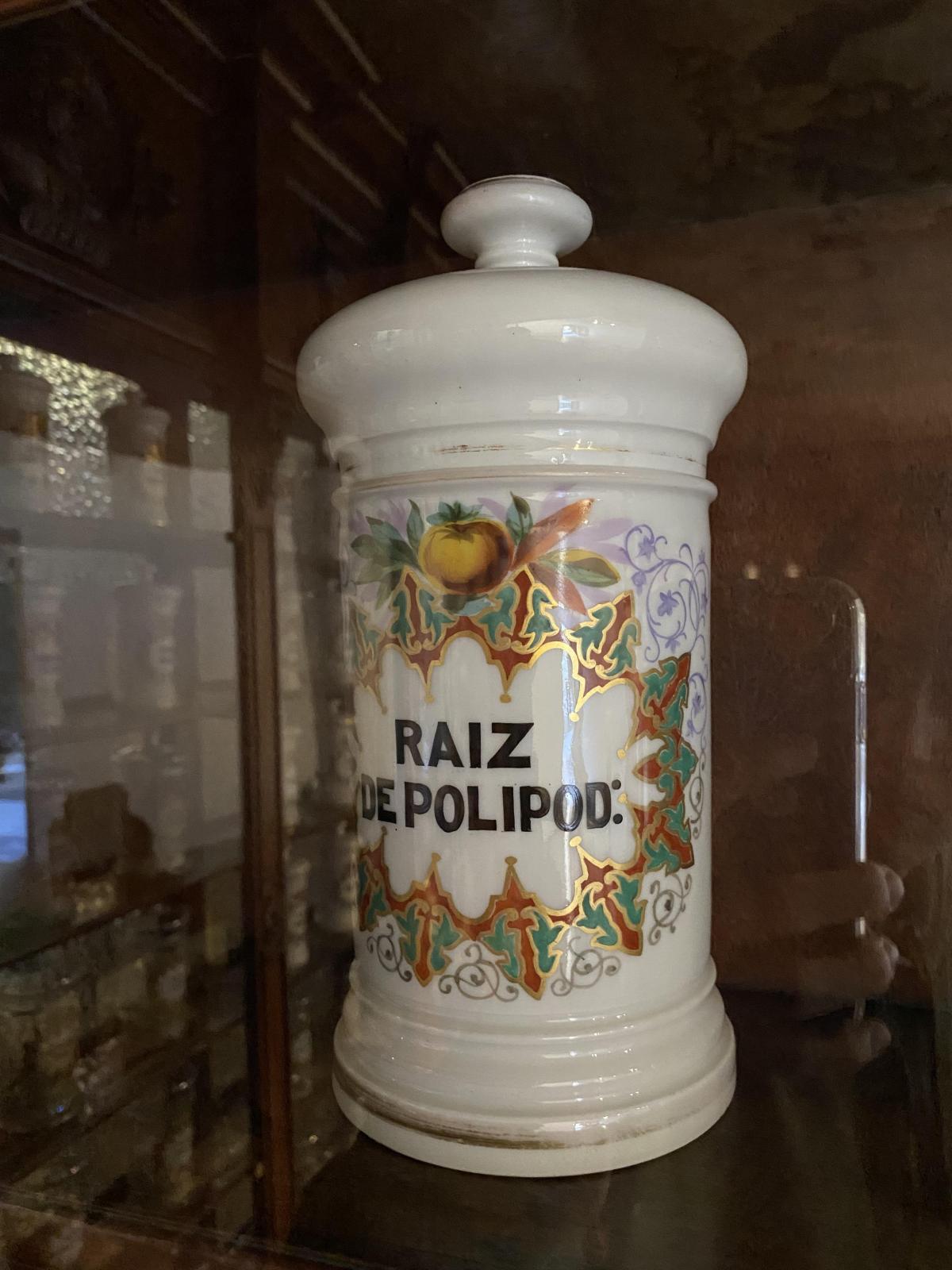 Albarelo de Raíz de Polipodio