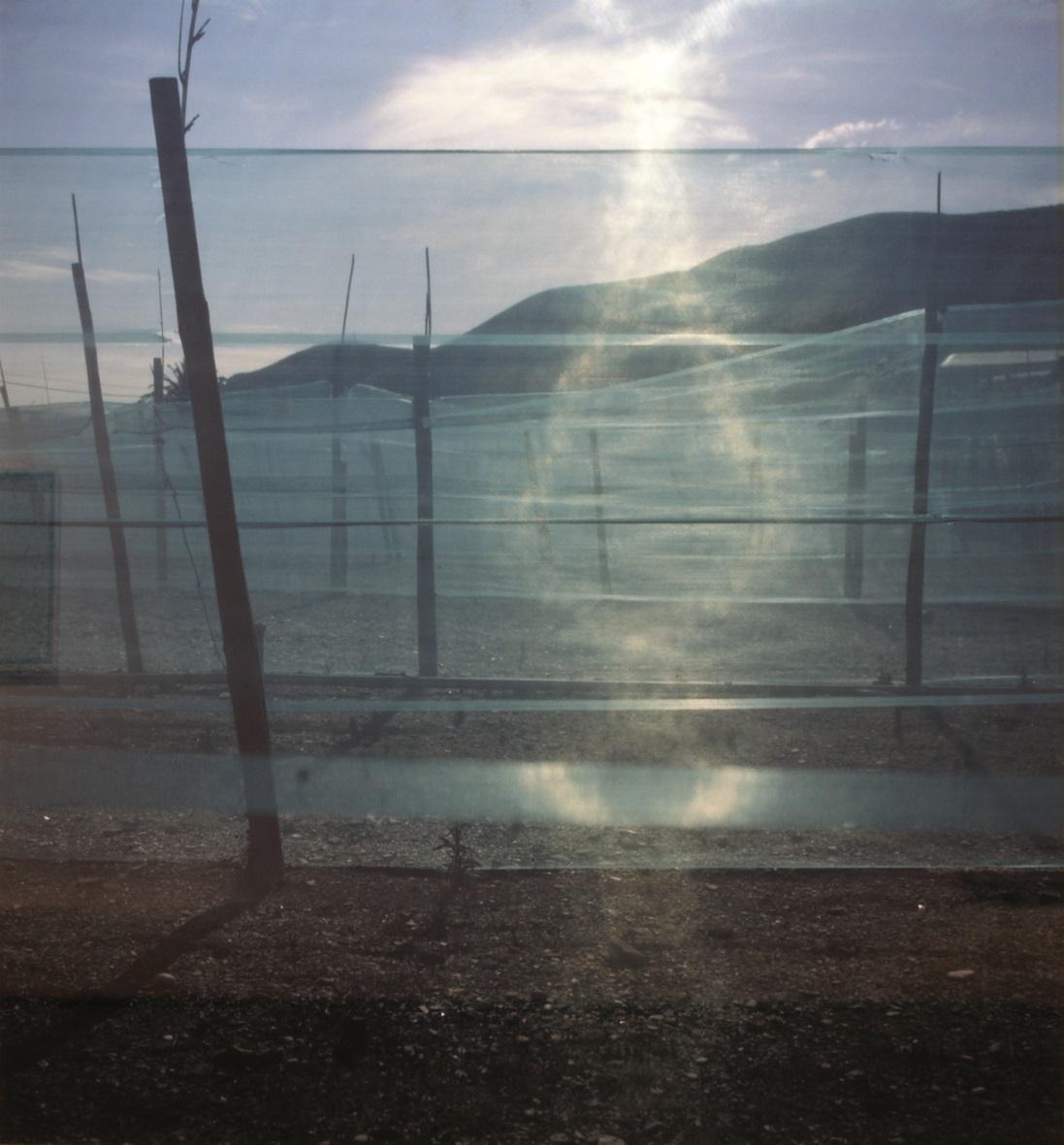 Fotografía a color de un paisaje agrícola